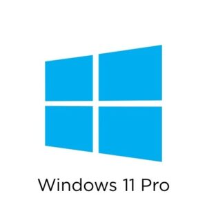 Windows 11 Pro